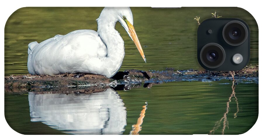 Great Egret iPhone Case featuring the photograph Great Egret 0336-102521-2 by Tam Ryan