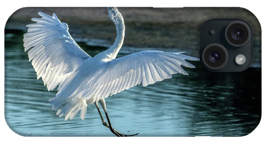 Great Egret iPhone Case featuring the photograph Great Egret 2110-070621-2 by Tam Ryan