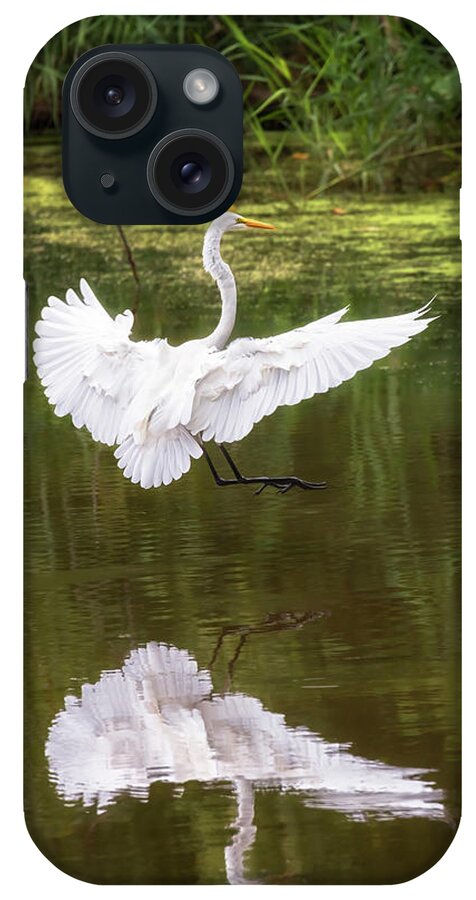 Bird iPhone Case featuring the photograph Great Egret Landing - Crab Orchard Lake by Susan Rissi Tregoning