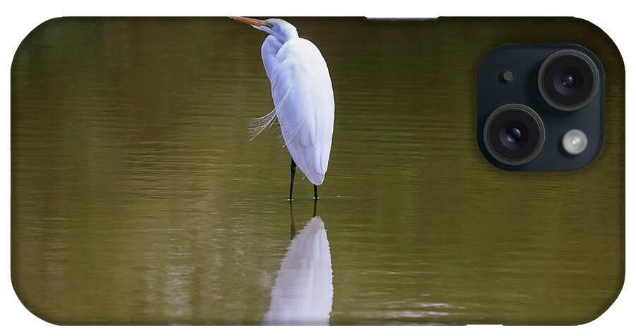 2020 iPhone Case featuring the photograph Great Egret Reflection by Dawn Richards