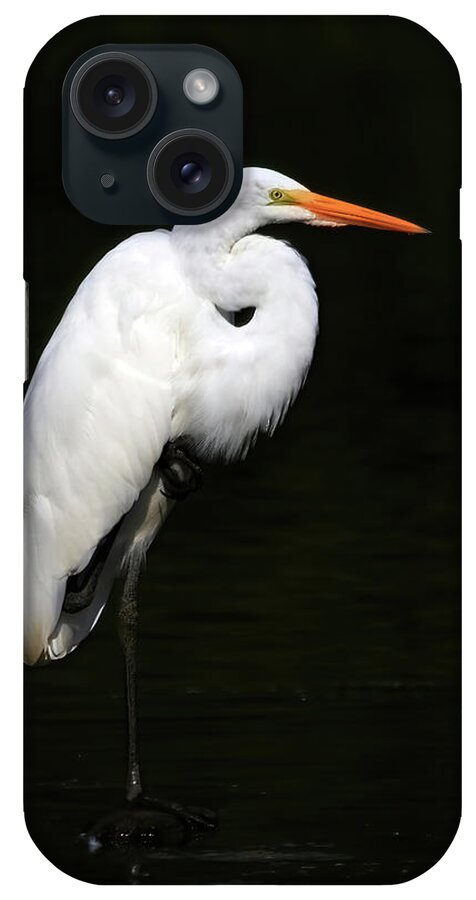 Great Egret iPhone Case featuring the photograph Great Egret by Shixing Wen