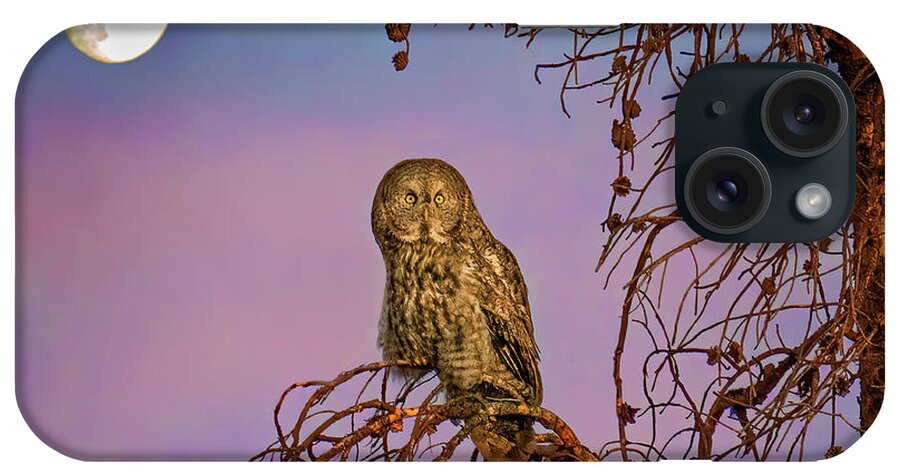 Great Gray Owls iPhone Case featuring the photograph Great Gray Owl in the Moonlight by Judi Dressler