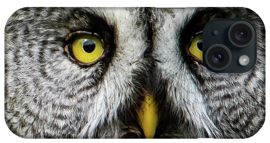 Great Grey's Face Closeup Square iPhone Case featuring the photograph Great Grey's Face by Torbjorn Swenelius