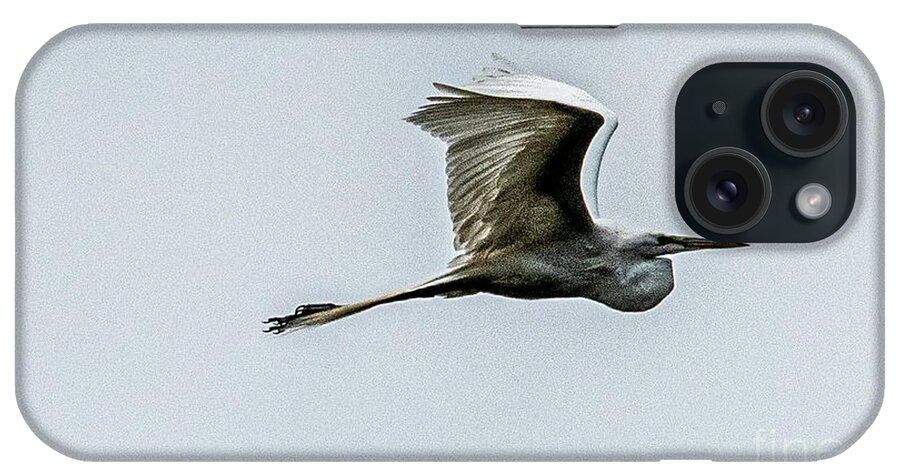 Great Heron On The Wing iPhone Case featuring the photograph Great Heron over Rookery by Daniel Hebard