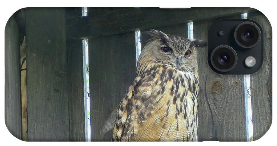 Owl iPhone Case featuring the photograph Great horned owl in a corner by Bentley Davis