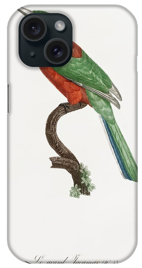 Jacques Barraband iPhone Case featuring the digital art Great Jacamar - Vintage Bird Illustration - Birds Of Paradise - Jacques Barraband - Ornithology by Studio Grafiikka