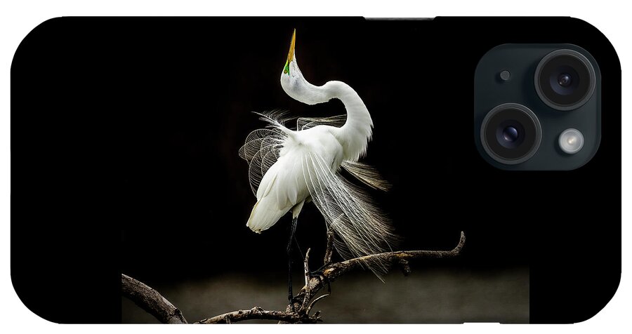 Egret iPhone Case featuring the photograph Great White Egret Feathers III by Patti Deters