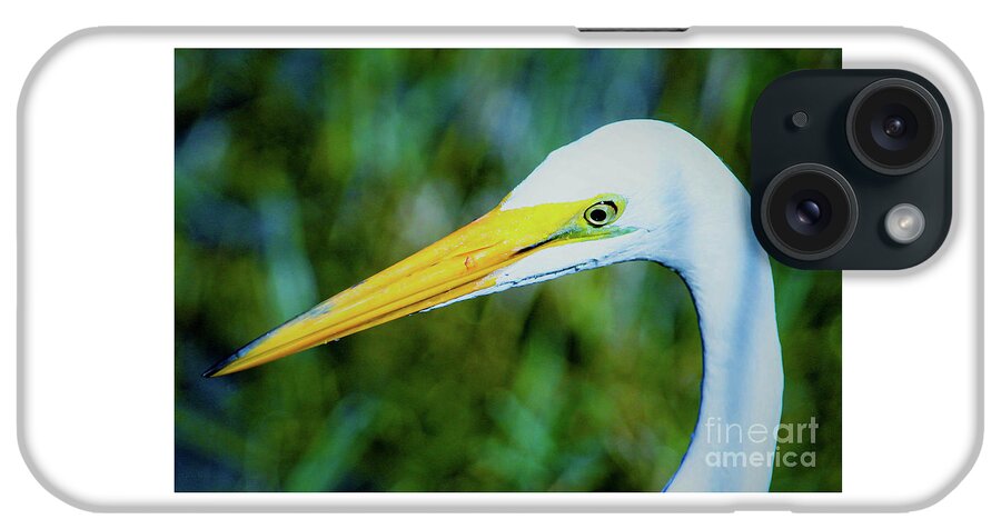 Great White Egret iPhone Case featuring the photograph Great white egret profile in arctic blues by Joanne Carey