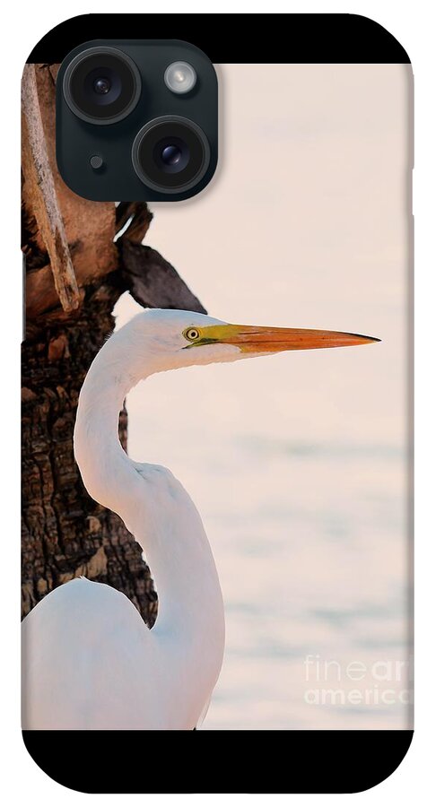 Great White Egret iPhone Case featuring the photograph Great White Egret Standing by a Cabbage Palm Tree by Joanne Carey