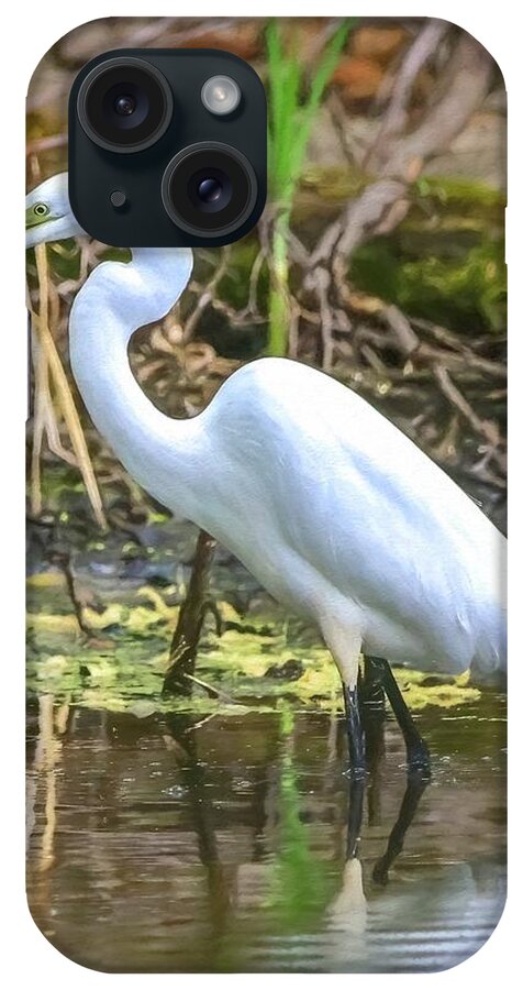 Egret iPhone Case featuring the photograph Great White Egret by Susan Rydberg