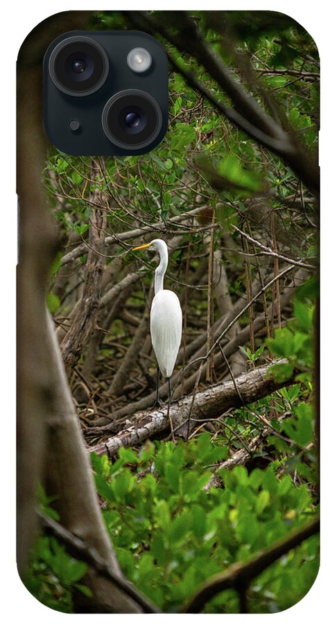 Florida iPhone Case featuring the photograph Great White Heron #1 by Marian Tagliarino