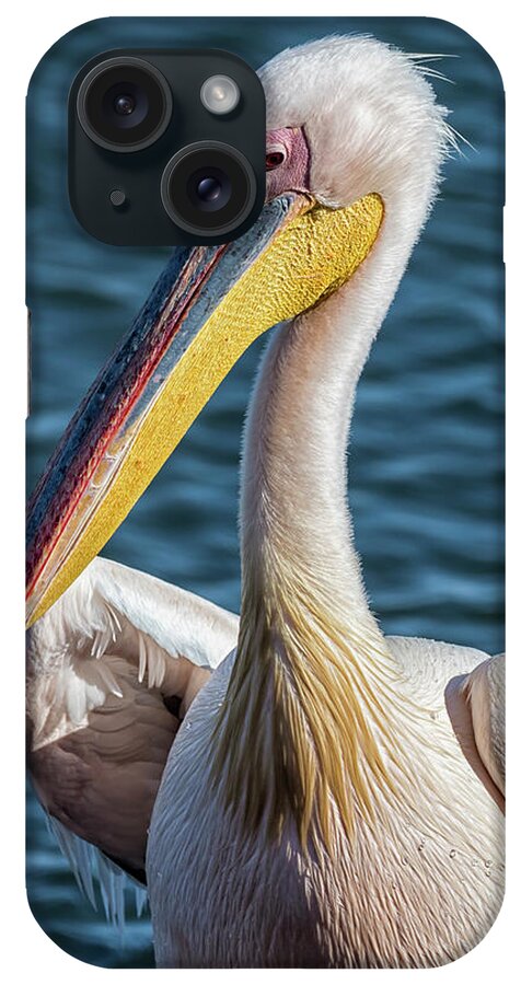 Great White Pelican iPhone Case featuring the photograph Great White Pelican, Profile by Belinda Greb
