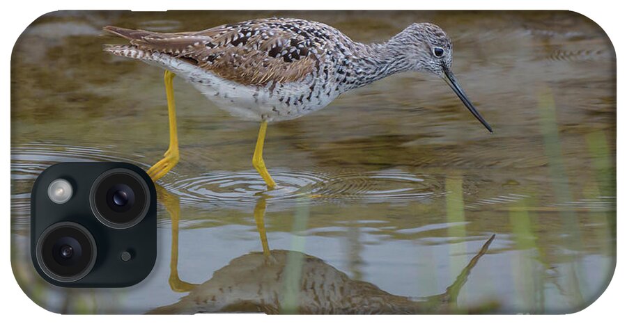 Greater Yellowlegs iPhone Case featuring the photograph Greater Yellowlegs Searching for Food at Skagit Delta by Nancy Gleason