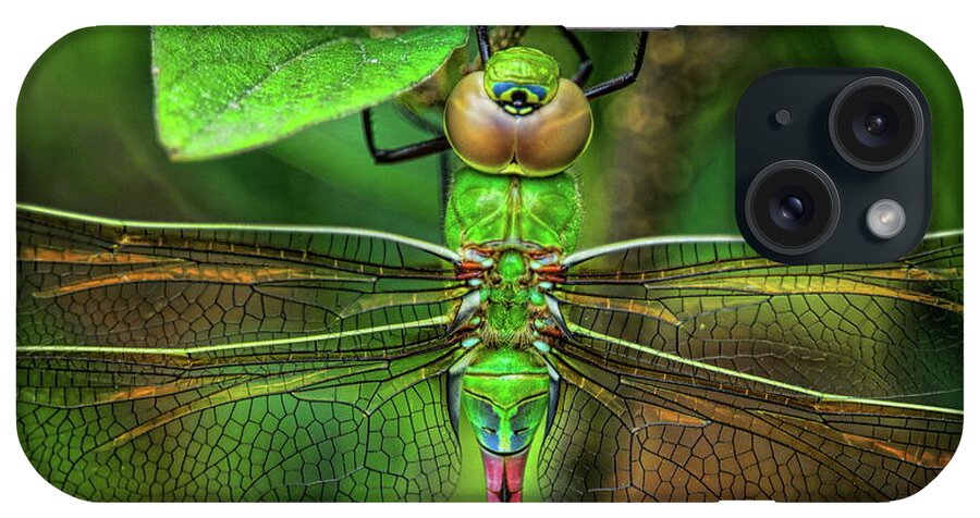 Insect iPhone Case featuring the photograph Green Darner Dragonfly Closeup by Dale Kauzlaric