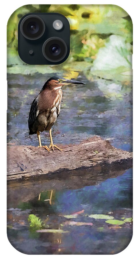 Green Heron iPhone Case featuring the photograph Green Heron with a Painterly Background of Water Lilies by Belinda Greb