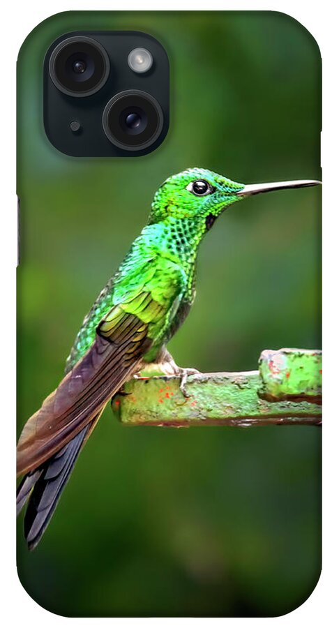 Green Hummingbird iPhone Case featuring the photograph Green Hummingbird by Carolyn Derstine