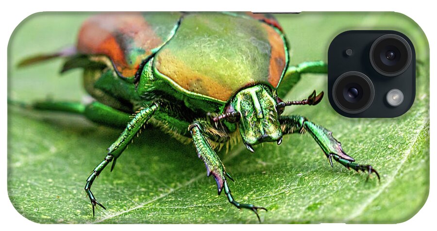 Bug iPhone Case featuring the photograph Green June Beetle by Agustin Uzarraga
