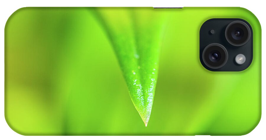 Green iPhone Case featuring the photograph Green Leaf Macro by Amelia Pearn