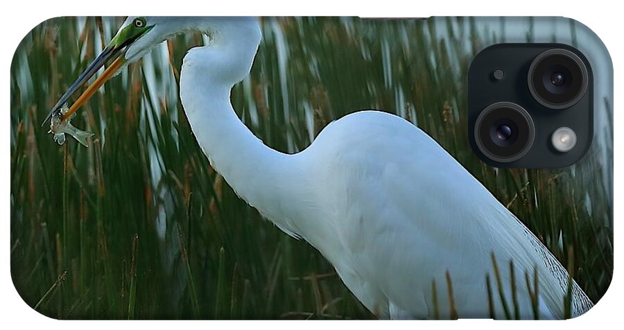 Great Egret iPhone Case featuring the photograph Green Lore of Great Egret by Mingming Jiang
