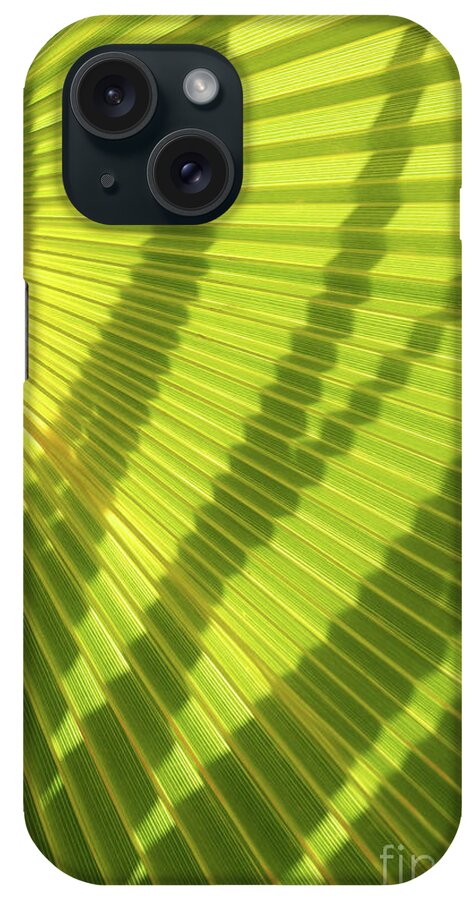Palm Leaf iPhone Case featuring the photograph Green palm leaf and shadows 1 by Adriana Mueller