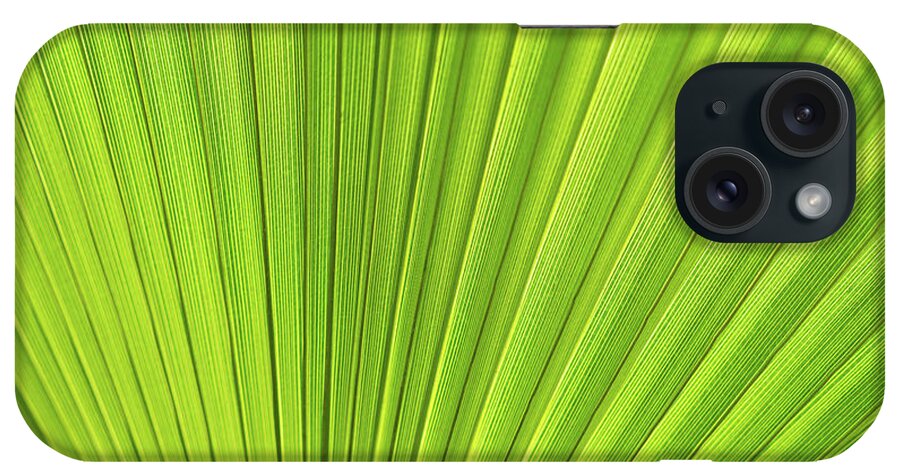 Palm Leaf iPhone Case featuring the photograph Green palm leaf and mediterranean sunlight by Adriana Mueller