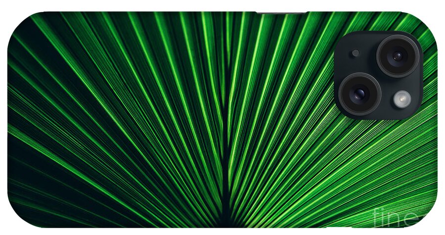 Green iPhone Case featuring the photograph Green palm leaf texture. by Jelena Jovanovic