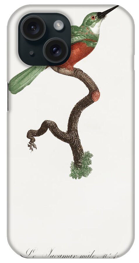 Jacques Barraband iPhone Case featuring the digital art Green Tailed Jacamar Male - Vintage Bird Illustration - Birds Of Paradise - Jacques Barraband by Studio Grafiikka