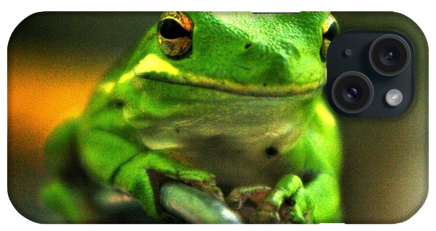 Frog iPhone Case featuring the photograph Green Tree Frog by Bess Carter
