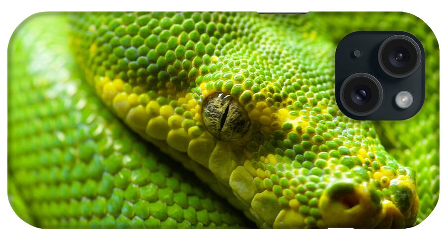 Green Tree Python iPhone Case featuring the digital art Green tree python by Geir Rosset