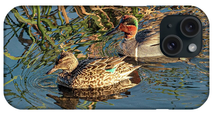 Ducks iPhone Case featuring the photograph Green Winged Teal by Jerry Connally
