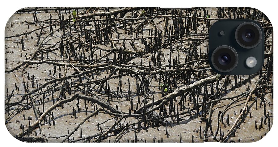 Mangroves iPhone Case featuring the photograph Grey Mangrove Flat Roots and Pencil Roots by Maryse Jansen