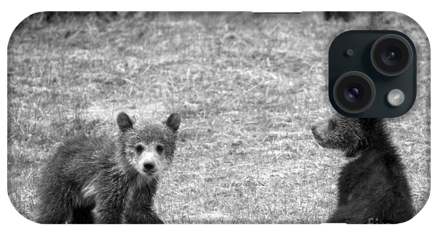 Grizzly iPhone Case featuring the photograph Grizzly Buddies Black And White by Adam Jewell