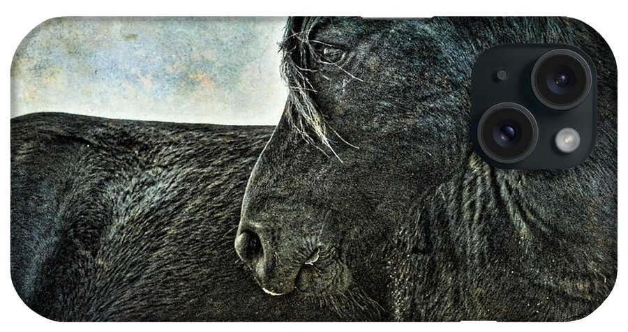 Horse iPhone Case featuring the photograph Guardian by Parrish Todd