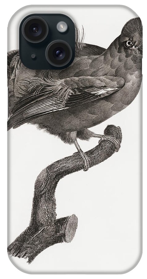 Jcaques Barraband iPhone Case featuring the digital art Guianan Cock Of The Rock Male -  Vintage Bird Illustration - Birds Of Paradise - Jacques Barraband by Studio Grafiikka