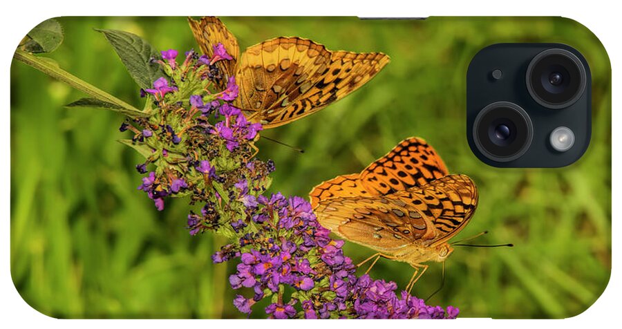 Butterfly iPhone Case featuring the photograph Varigated Fritilliary Duo by Barbara Bowen