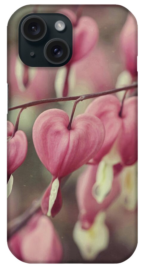 Hearts iPhone Case featuring the photograph Hanging Hearts by Carrie Ann Grippo-Pike