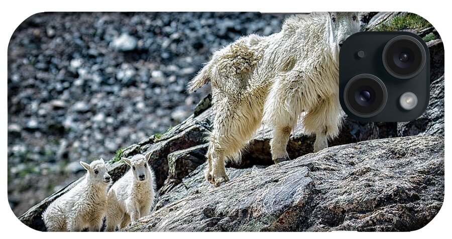 Mountain Goats iPhone Case featuring the photograph Hanging with Nanny by Bitter Buffalo Photography