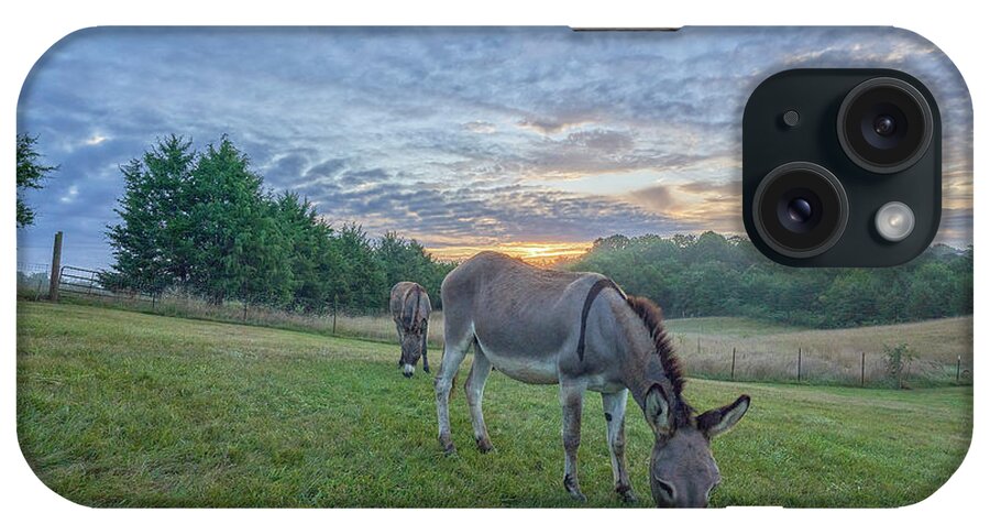 Usa iPhone Case featuring the photograph Happy Donkeys by Brian Kamprath