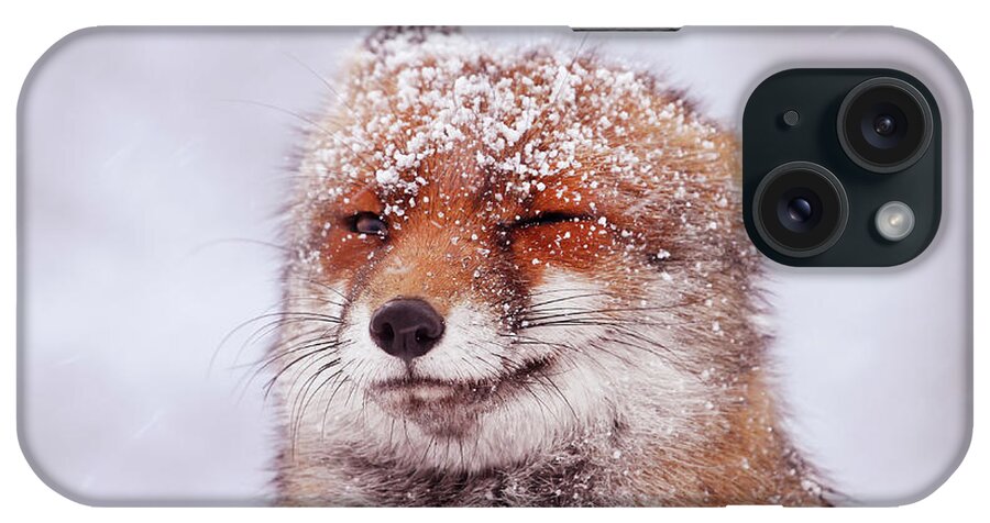Red Fox iPhone Case featuring the photograph Happy Fox Series - Wink by Roeselien Raimond