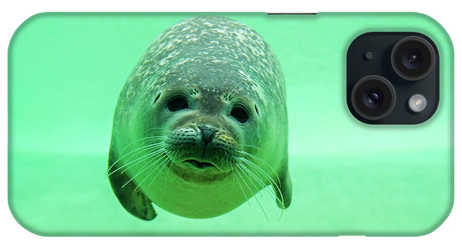 Harbor Seal iPhone Case featuring the photograph Harbor Seal Diving under Water by Arterra Picture Library