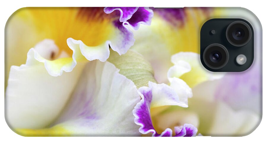 Flower iPhone Case featuring the photograph Harlequin Cattleya Orchid by Patty Colabuono