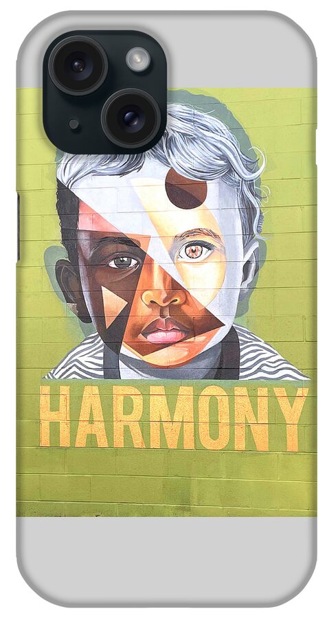 Mural iPhone Case featuring the photograph Harmony by Lee Darnell