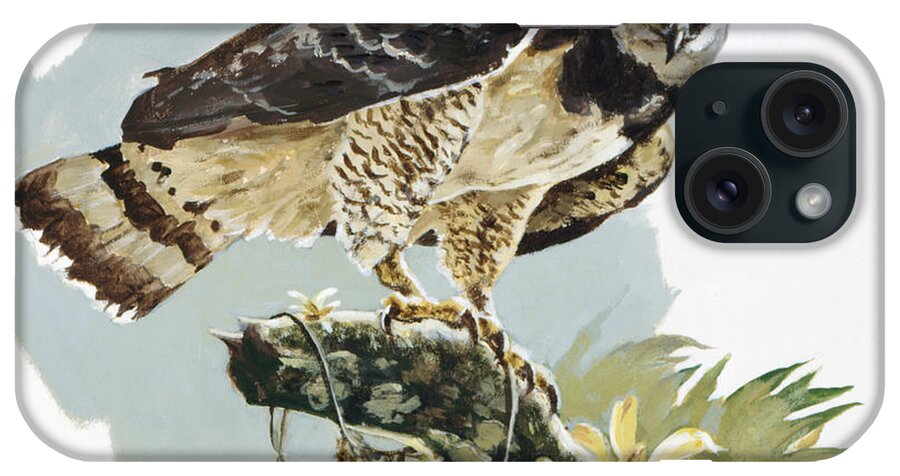 John Swatsley iPhone Case featuring the painting Harpy Eagle II by John Swatsley