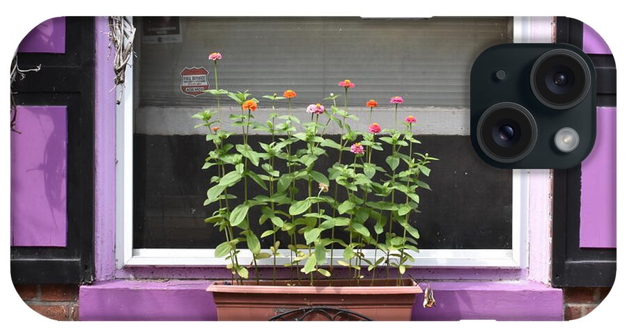 Window Flower Box iPhone Case featuring the photograph Harrisburg 65 by Dick Sauer