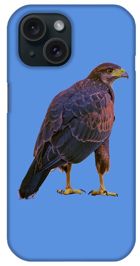 Mark Myhaver Photography iPhone Case featuring the photograph Harris's Hawk 24911 by Mark Myhaver