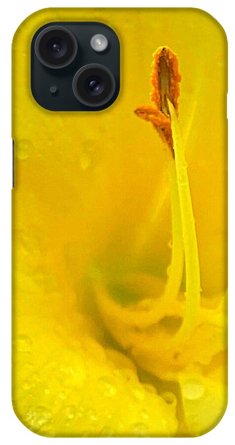 Daylily iPhone Case featuring the photograph Heart of the Daylily by Lee Darnell