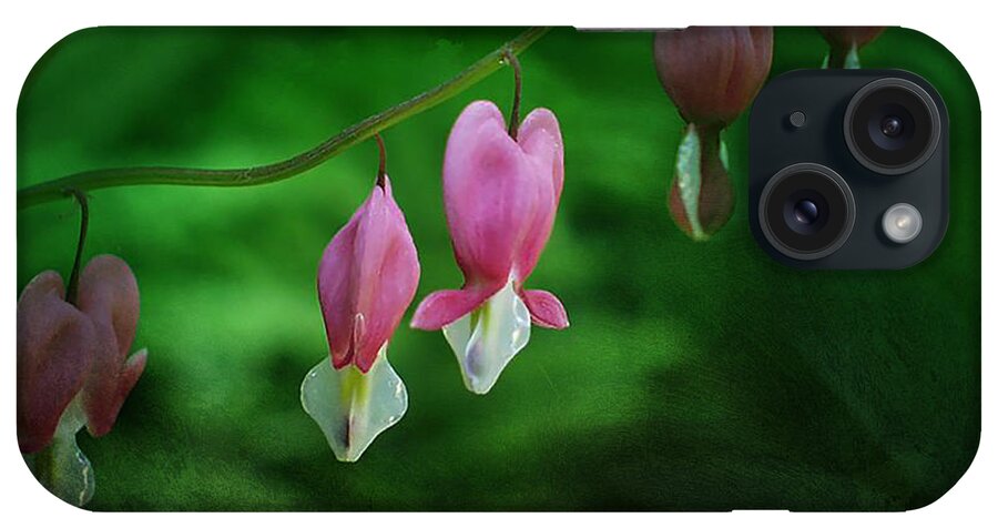Dicentra iPhone Case featuring the photograph Hearts of Spring by Moira Law