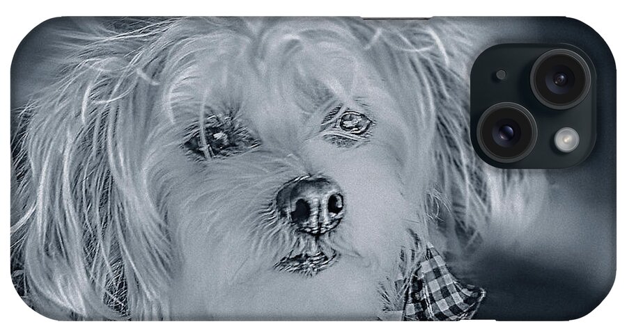 Art iPhone Case featuring the photograph Heichel The Disheveled 4 by Miss Pet Sitter