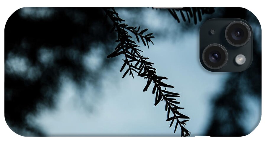 Natural iPhone Case featuring the photograph Hemlock Branch Silhouette by Pelo Blanco Photo