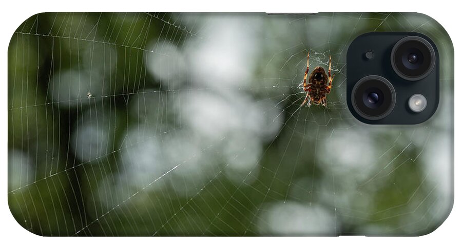 Ventral View iPhone Case featuring the photograph Hentz Orb Weaver and Web by Brooke Bowdren